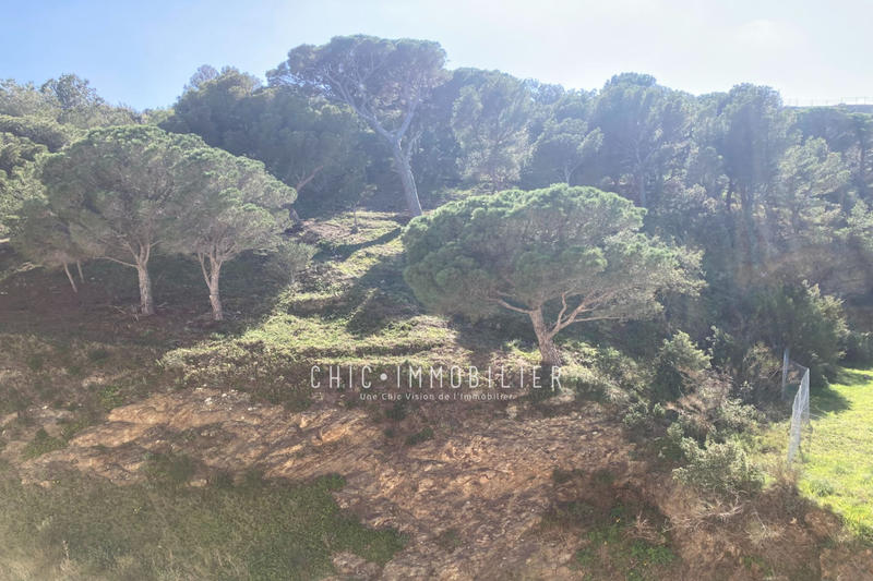 Appartement - 55 m² - 2 pièces