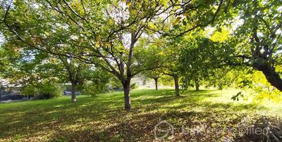 Maison traditionnelle - 187 m² - 7 pièces