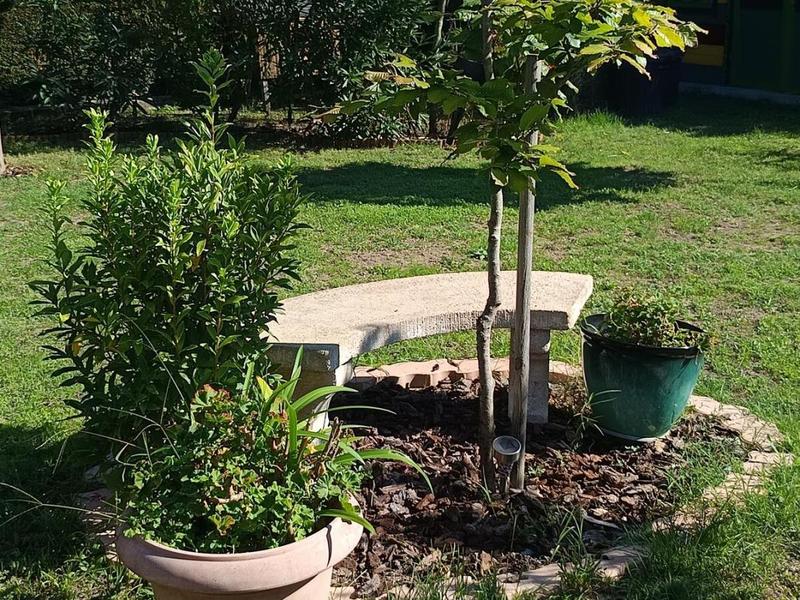 Maison - 136 m² - 6 pièces