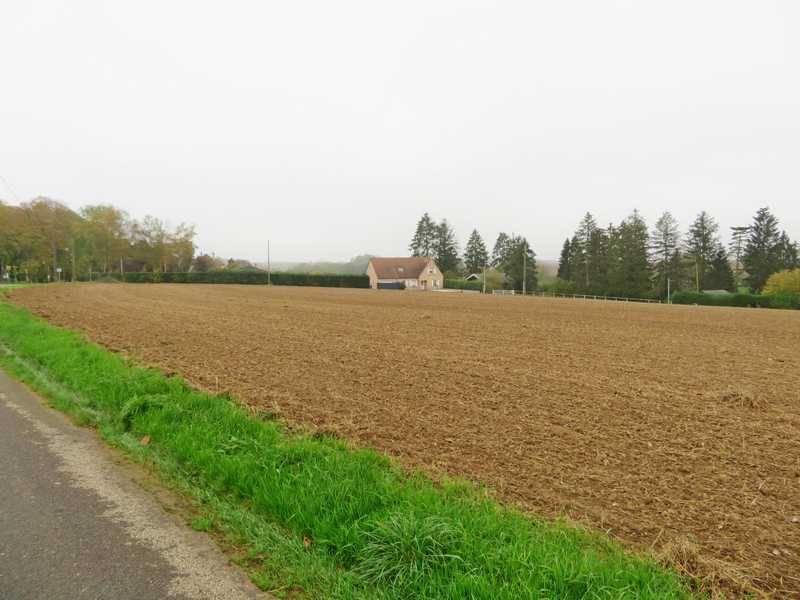 Terrain - 1 365 m²