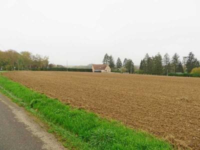 Terrain - 1 365 m²
