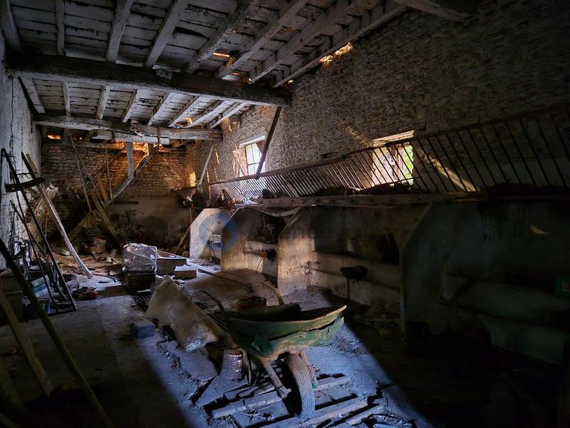 Maison ancienne - 279 m² - 8 pièces