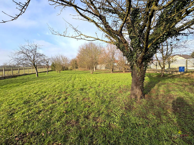 Maison - 231 m² - 6 pièces