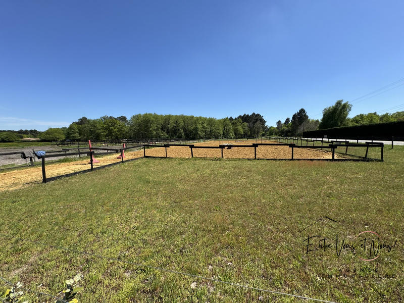 Maison - 216 m² - 7 pièces