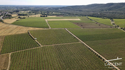 Château - 3 038 m² - 55 pièces