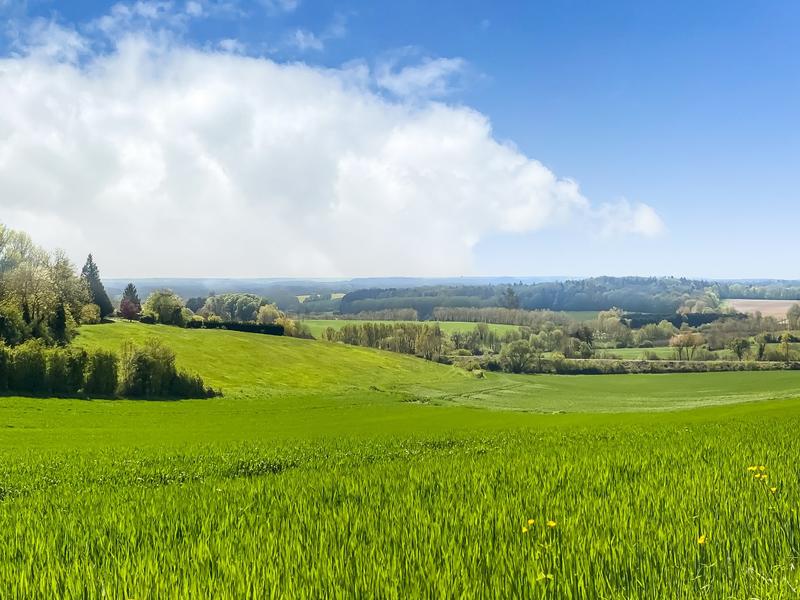 Maison - 161 m² - 8 pièces