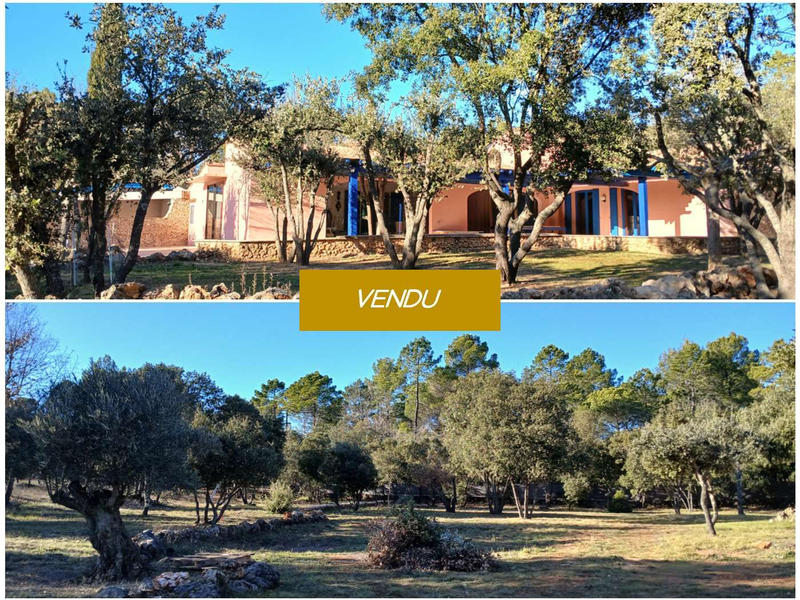 Viager - Maison - 190 m² - 5 pièces