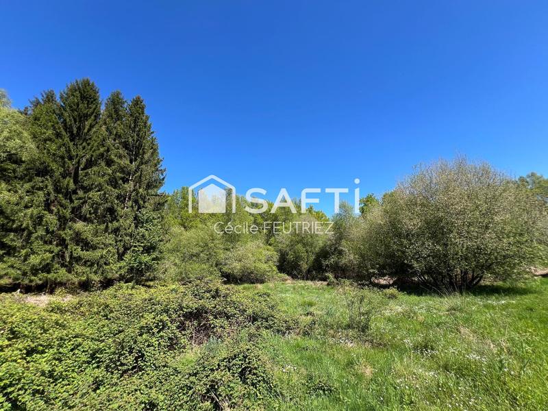 Terrain - 5 500 m²