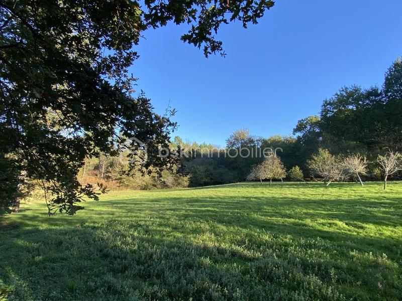 Ferme - 360 m² - 10 pièces