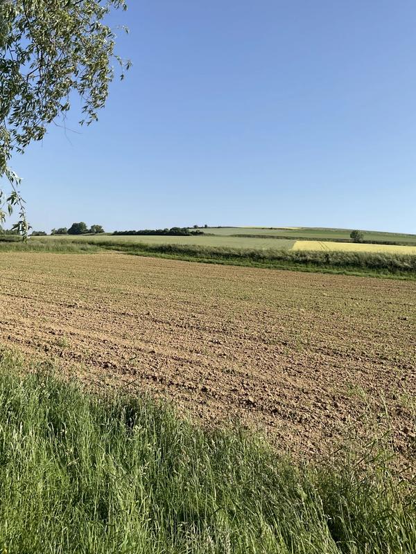 Terrain inconstructible - 2 600 m²