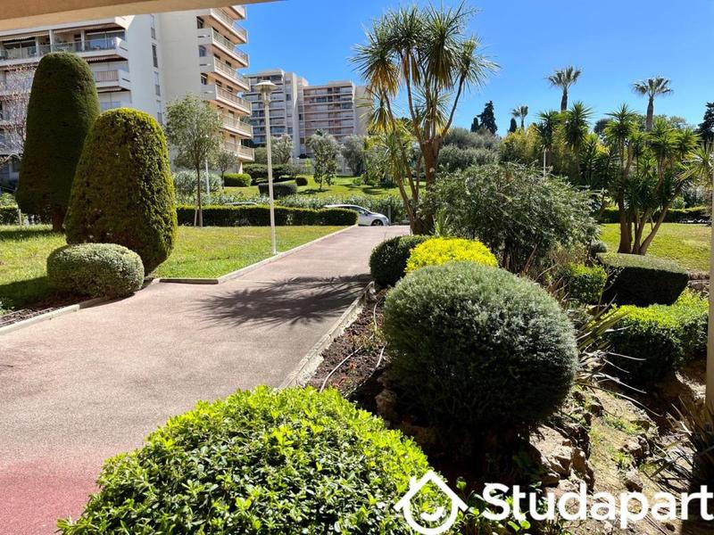 Appartement - 30 m² - 1 pièce