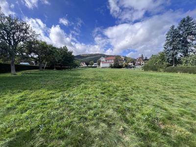 Terrain - 5 962 m²