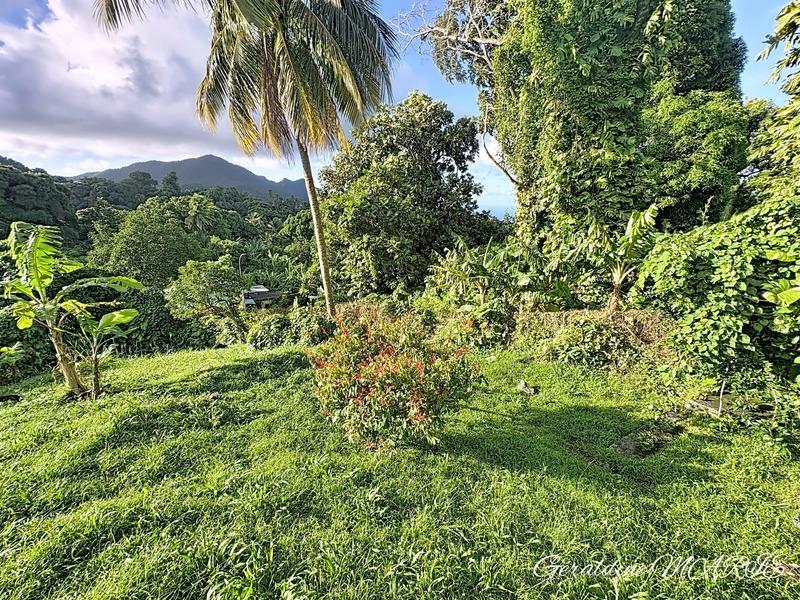 Maison - 242 m² - 6 pièces