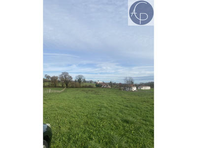 Terrain - 12 376 m²