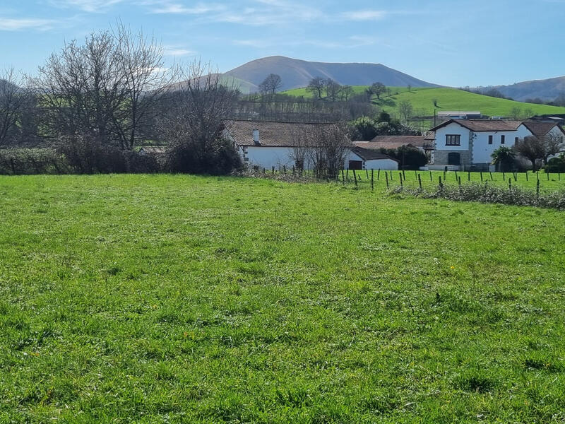 Terrain - 538 m²