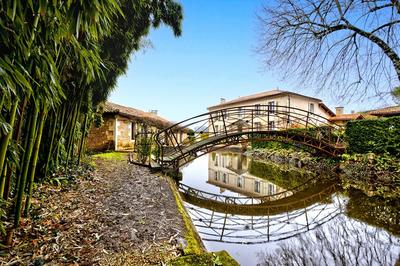 Immeuble - 350 m² - 11 pièces