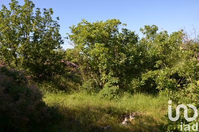 Terrain - 10 944 m²