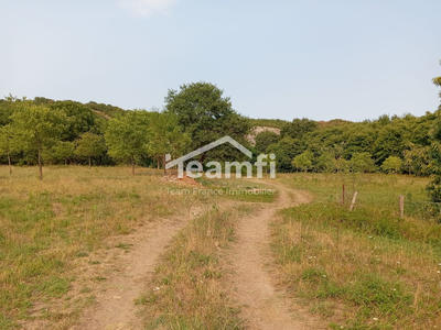 Terrain - 8 817 m²