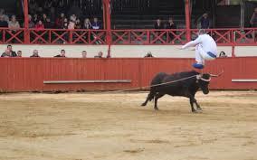 Course landaise de formelle en compétition