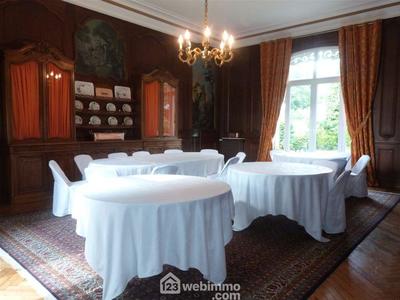 Château - 850 m² - 17 pièces