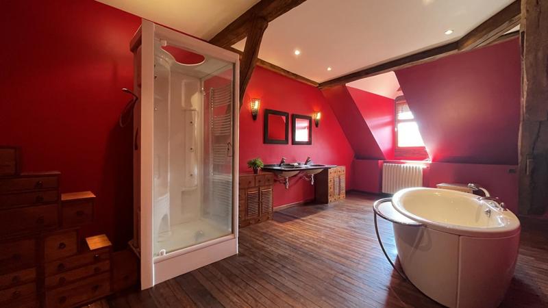 Hôtel particulier - 390 m² - 10 pièces