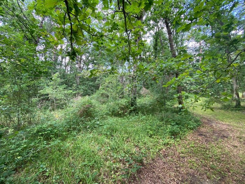 Terrain de loisirs - 7 250 m²