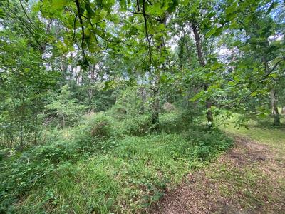 Terrain de loisirs - 7 250 m²