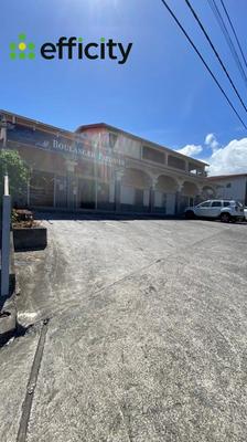 Immeuble - 553 m² - 10 pièces