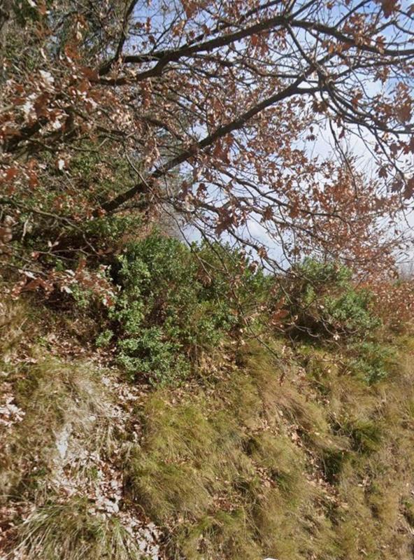 Terrain agricole - 2 950 m²