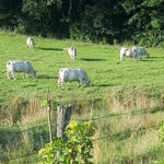 Ferme de Champgarnier