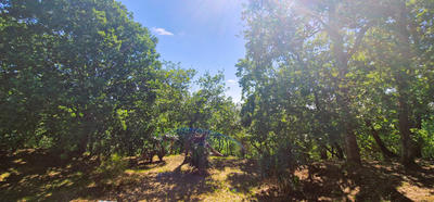 Maison - 190 m² - 8 pièces