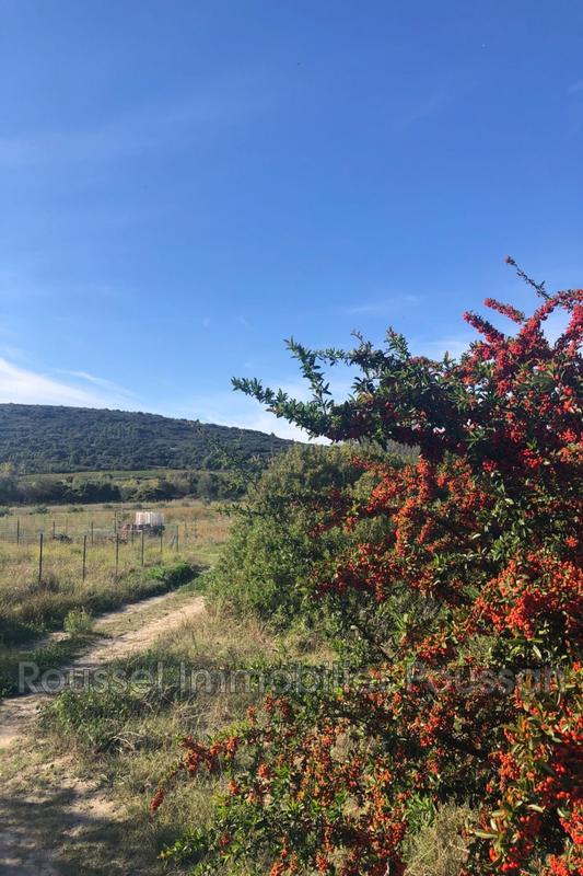 Terrain agricole - 10 851 m²
