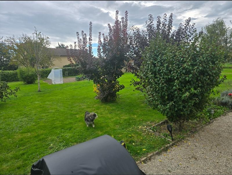 Maison - 118 m² - 7 pièces