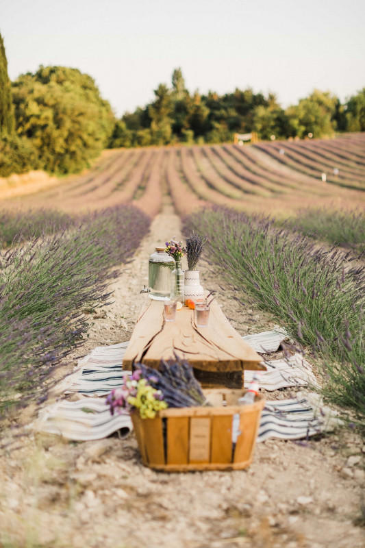 Visite des champs de lavande à Terre Ugo