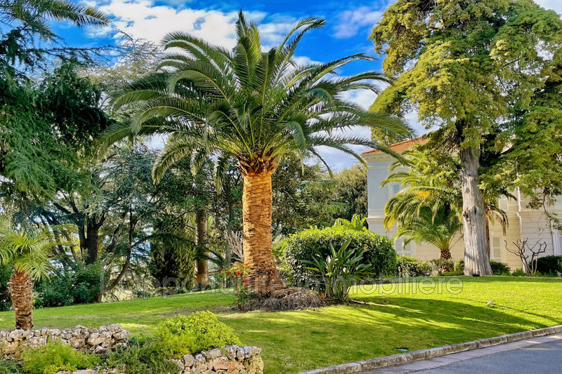 Appartement - 22 m² - 1 pièce