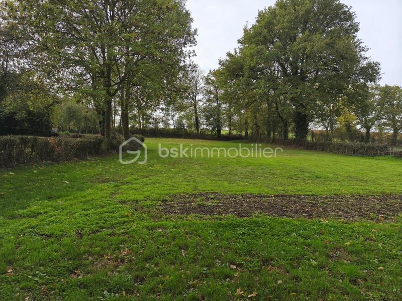 Fermette - 85 m² - 3 pièces