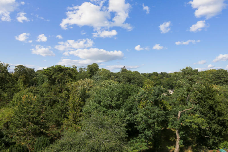 Appartement - 54 m² - 2 pièces