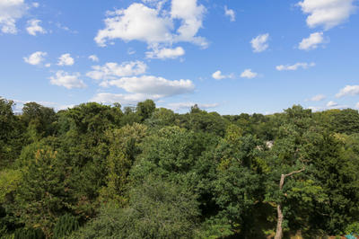 Appartement - 54 m² - 2 pièces