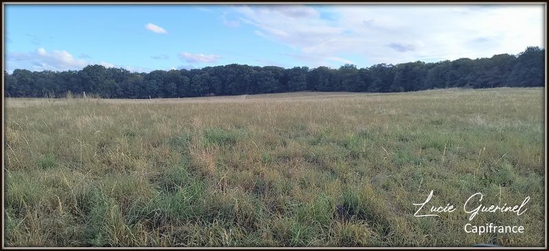 Maison - 200 m² - 6 pièces