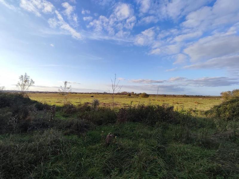 Maison - 46 m² - 2 pièces