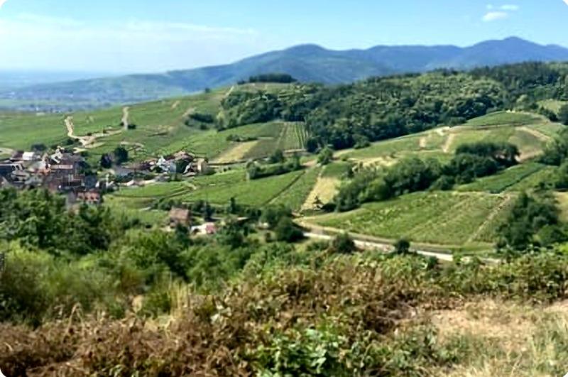 Studio - 22 m² - 1 pièce