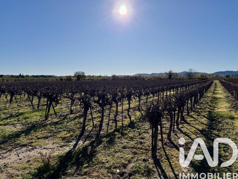 Terrain agricole - 9 763 m²