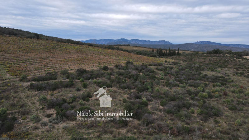 Terrain agricole - 28 875 m²