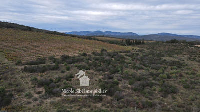 Terrain agricole - 28 875 m²