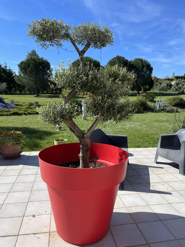 Villa - 140 m² - 5 pièces