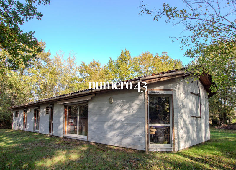 Viager - Maison ancienne - 112 m² - 4 pièces