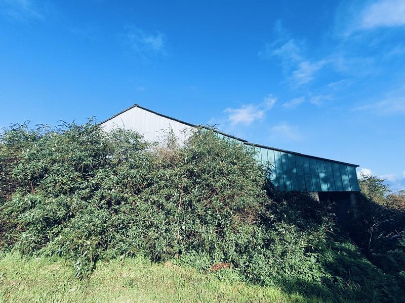 Maison - 300 m² - 1 pièce