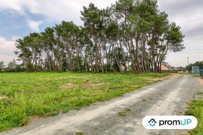 Terrain de loisirs - 946 m²