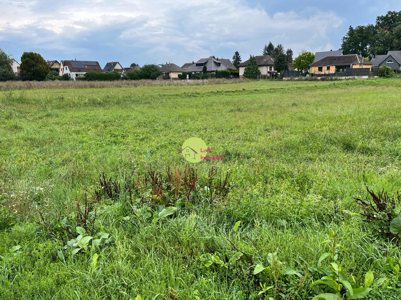 Terrain - 480 m²