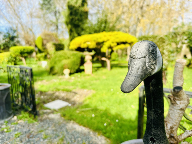 Maison - 197 m² - 8 pièces